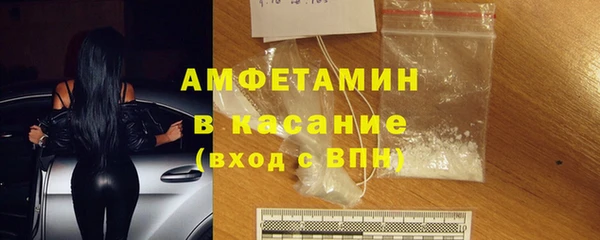 гашик Алексин