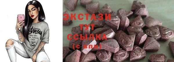 гашик Алексин