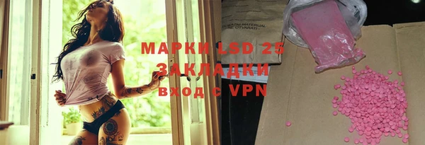 гашик Алексин