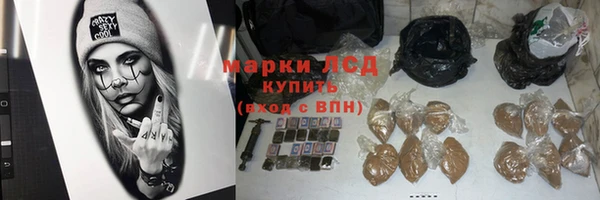 гашик Алексин