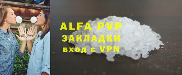 гашик Алексин