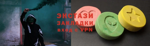 гашик Алексин