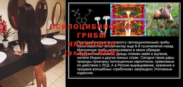 гашик Алзамай