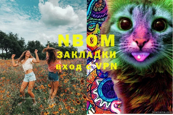 индика Покровск