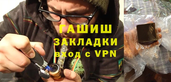 гашик Алексин