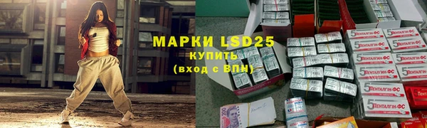 гашик Алзамай